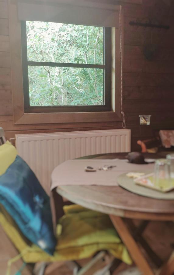 B&B Aquavert Tournai Eksteriør billede